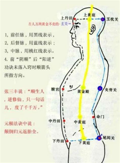 黃庭穴位置|【黃庭穴位置】探秘黃庭穴—人體內的神秘寶地在哪。